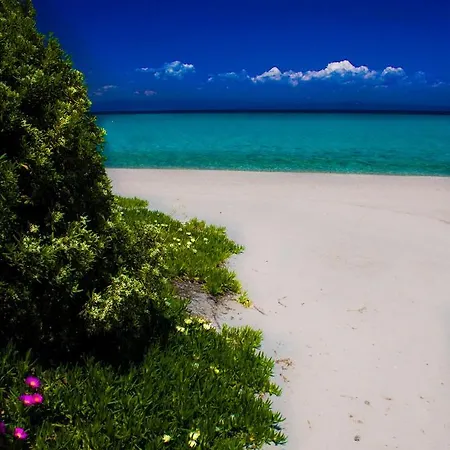 Paradise Family House In Chalkidiki
