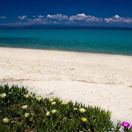 Paradise Family House In Chalkidiki